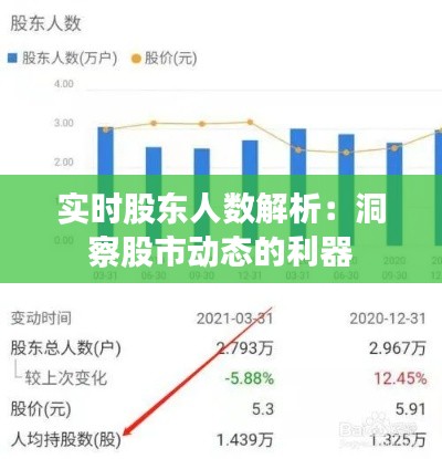 实时股东人数解析：洞察股市动态的利器