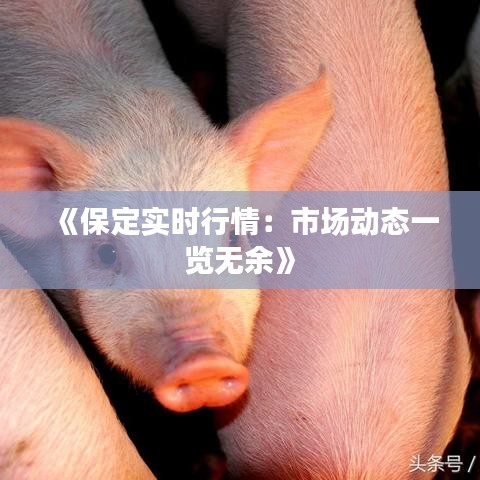 《保定实时行情：市场动态一览无余》