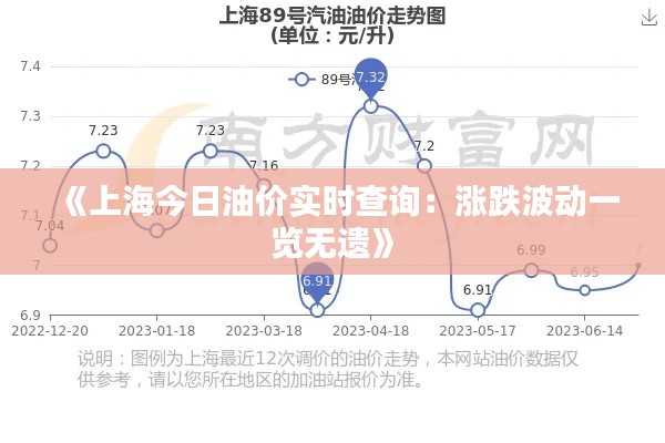 《上海今日油价实时查询：涨跌波动一览无遗》