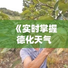 《实时掌握德化天气，一键下载天气预报服务》