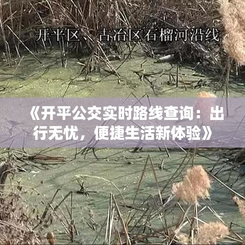 《开平公交实时路线查询：出行无忧，便捷生活新体验》