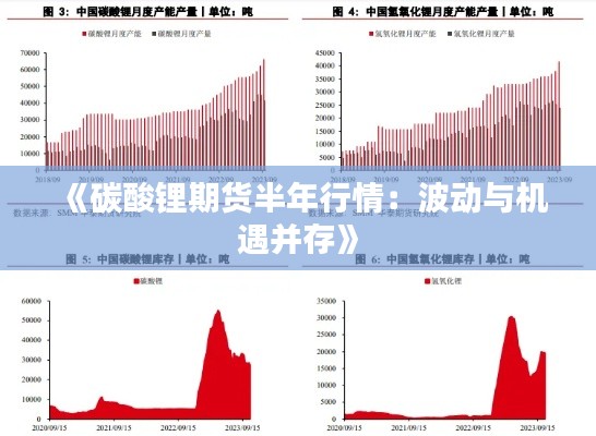 《碳酸锂期货半年行情：波动与机遇并存》