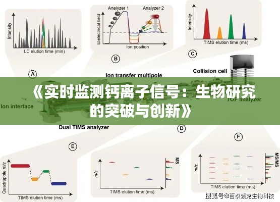 2024年12月20日 第2页