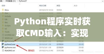 Python程序实时获取CMD输入：实现高效交互体验