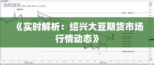 《实时解析：绍兴大豆期货市场行情动态》