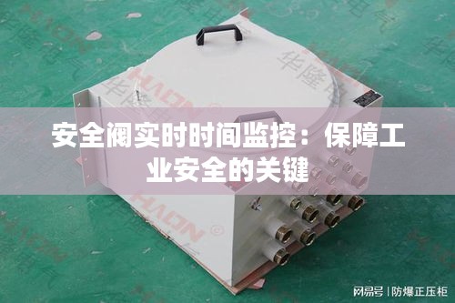 安全阀实时时间监控：保障工业安全的关键