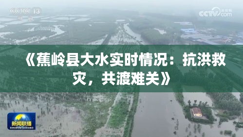 《蕉岭县大水实时情况：抗洪救灾，共渡难关》