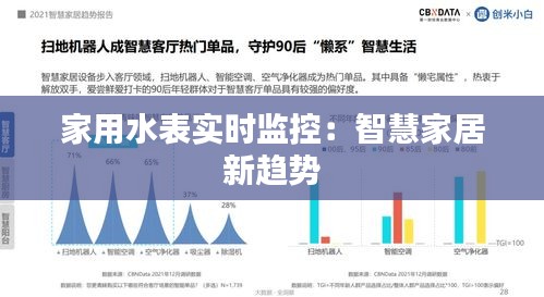 家用水表实时监控：智慧家居新趋势