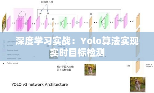 深度学习实战：Yolo算法实现实时目标检测