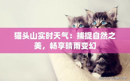 猫头山实时天气：捕捉自然之美，畅享晴雨变幻