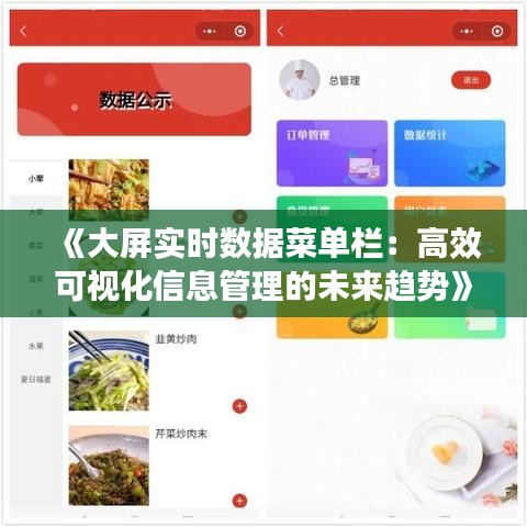 《大屏实时数据菜单栏：高效可视化信息管理的未来趋势》