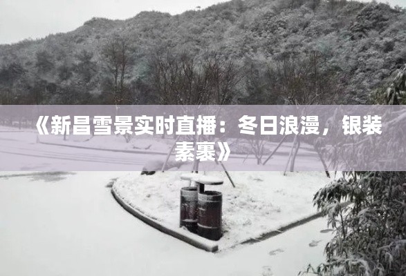 《新昌雪景实时直播：冬日浪漫，银装素裹》