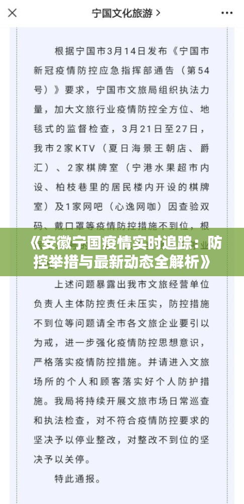 《安徽宁国疫情实时追踪：防控举措与最新动态全解析》