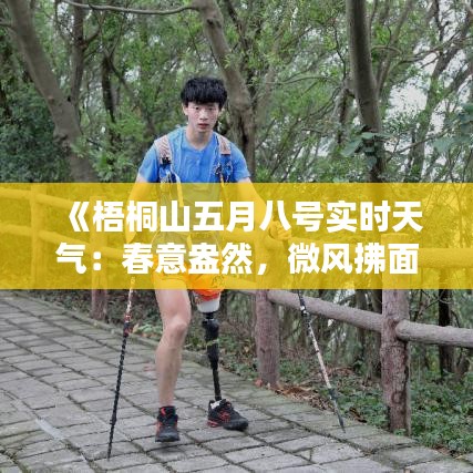 《梧桐山五月八号实时天气：春意盎然，微风拂面》