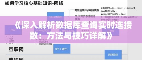 《深入解析数据库查询实时连接数：方法与技巧详解》