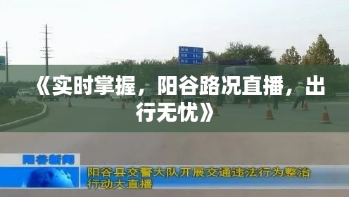 《实时掌握，阳谷路况直播，出行无忧》