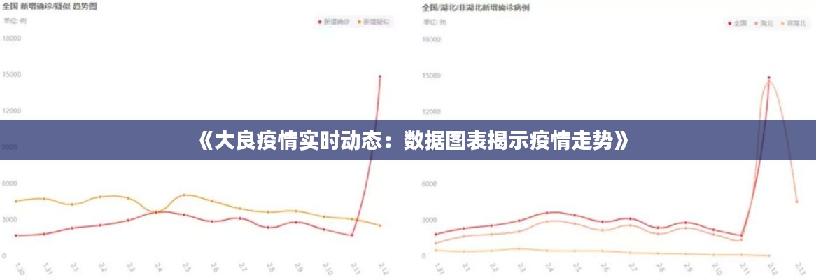 《大良疫情实时动态：数据图表揭示疫情走势》