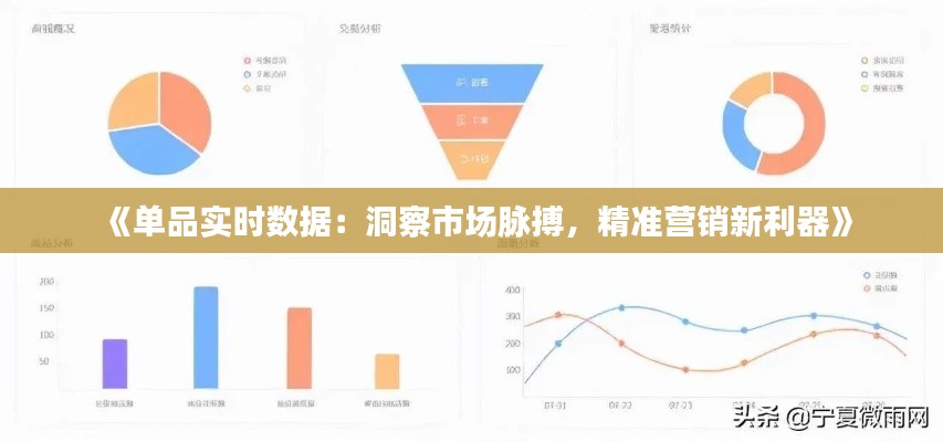 《单品实时数据：洞察市场脉搏，精准营销新利器》