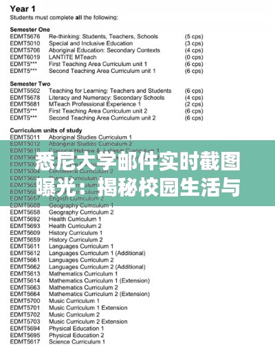 2024年12月22日 第8页