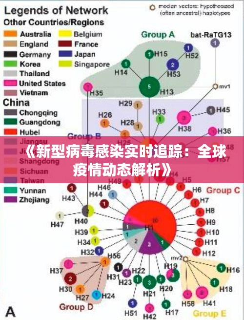 《新型病毒感染实时追踪：全球疫情动态解析》