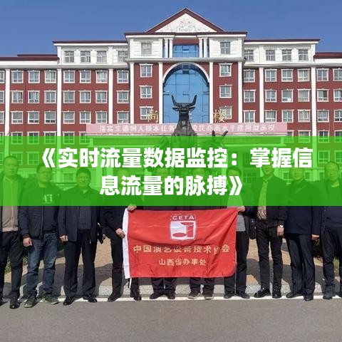 《实时流量数据监控：掌握信息流量的脉搏》