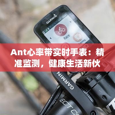 Ant心率带实时手表：精准监测，健康生活新伙伴