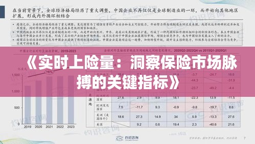 《实时上险量：洞察保险市场脉搏的关键指标》