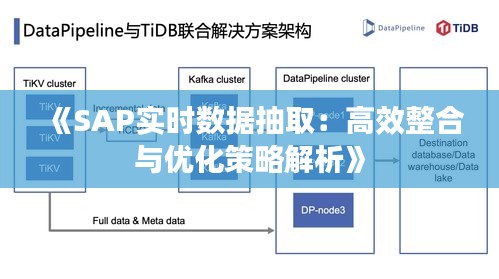 《SAP实时数据抽取：高效整合与优化策略解析》