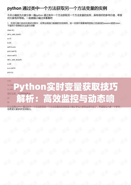 Python实时变量获取技巧解析：高效监控与动态响应