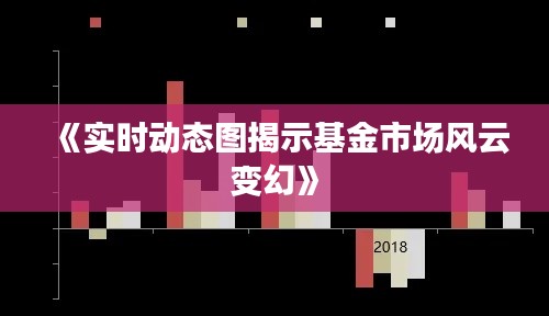 《实时动态图揭示基金市场风云变幻》