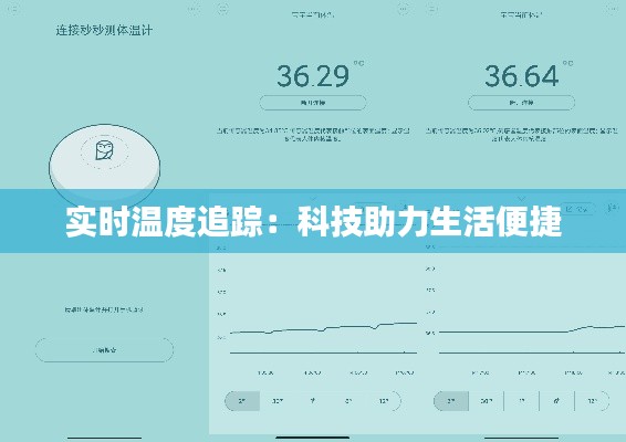 实时温度追踪：科技助力生活便捷