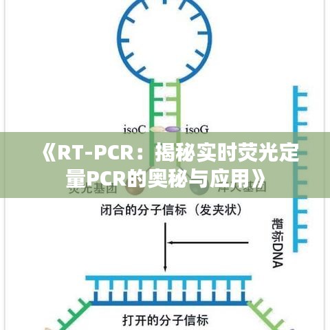 《RT-PCR：揭秘实时荧光定量PCR的奥秘与应用》