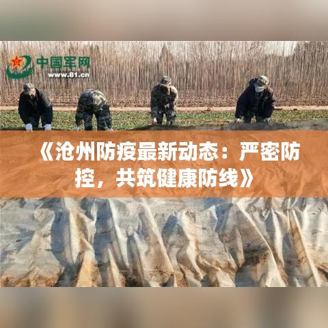 《沧州防疫最新动态：严密防控，共筑健康防线》