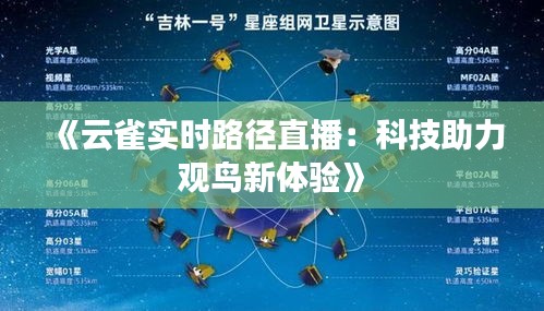 《云雀实时路径直播：科技助力观鸟新体验》