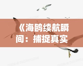 《海鸥续航瞬间：捕捉真实飞行时刻》