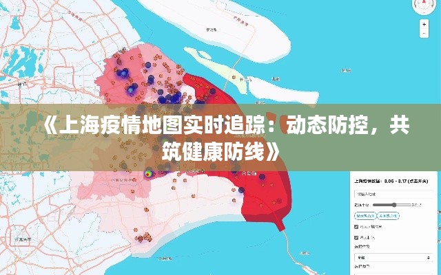 《上海疫情地图实时追踪：动态防控，共筑健康防线》