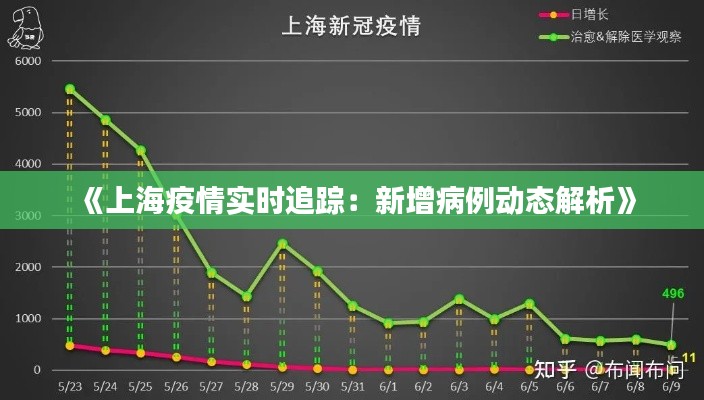 《上海疫情实时追踪：新增病例动态解析》