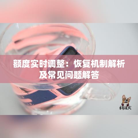 额度实时调整：恢复机制解析及常见问题解答