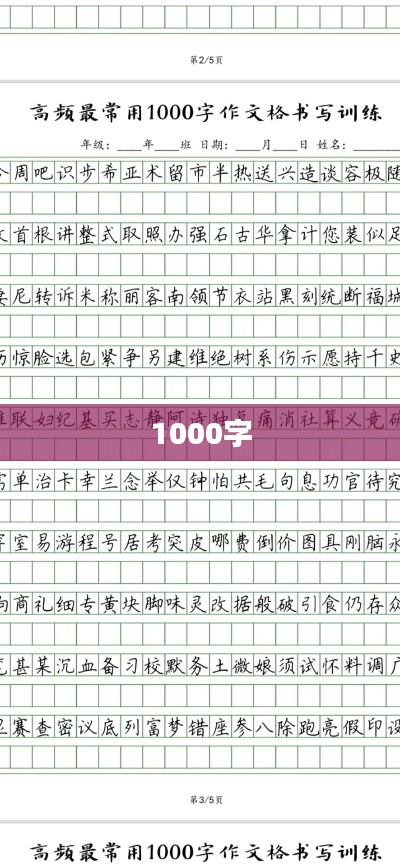 1000字