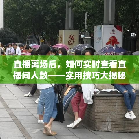 直播离场后，如何实时查看直播间人数——实用技巧大揭秘