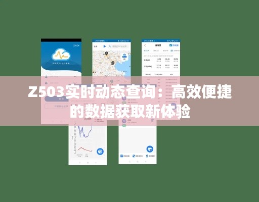 Z503实时动态查询：高效便捷的数据获取新体验