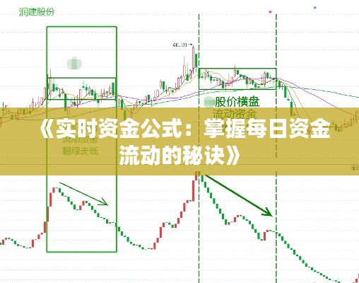 《实时资金公式：掌握每日资金流动的秘诀》