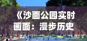 《沙面公园实时画面：漫步历史与现代交融的绿洲》