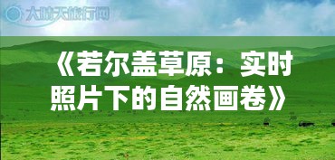 《若尔盖草原：实时照片下的自然画卷》