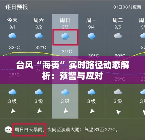 台风“海葵”实时路径动态解析：预警与应对