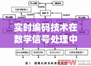 实时编码技术在数学信号处理中的应用与创新