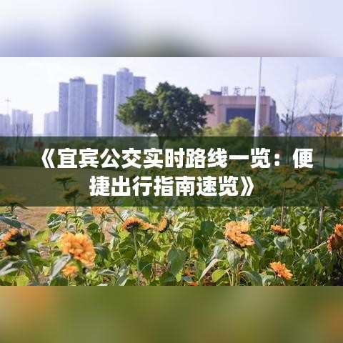 《宜宾公交实时路线一览：便捷出行指南速览》