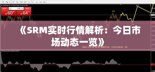 《SRM实时行情解析：今日市场动态一览》