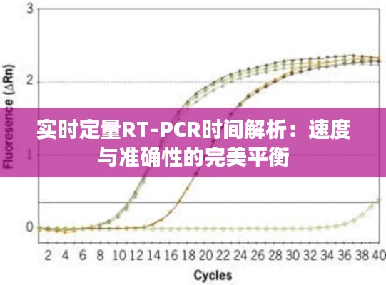 实时定量RT-PCR时间解析：速度与准确性的完美平衡