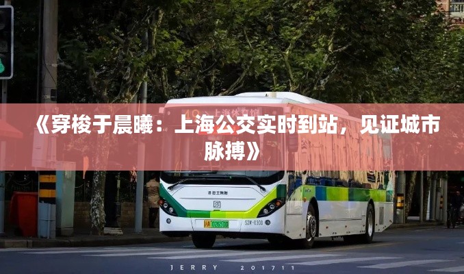 《穿梭于晨曦：上海公交实时到站，见证城市脉搏》